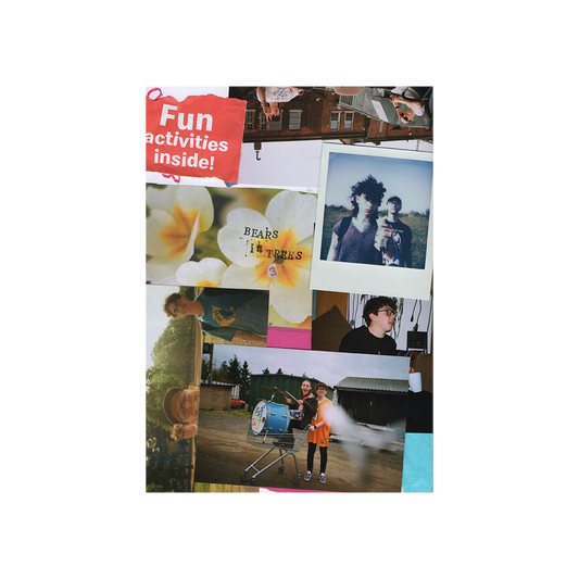 Bears in Trees - Zine: Three